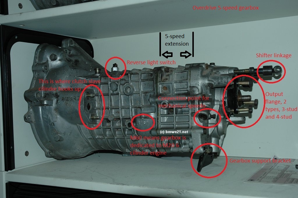 download BMW 316 workshop manual