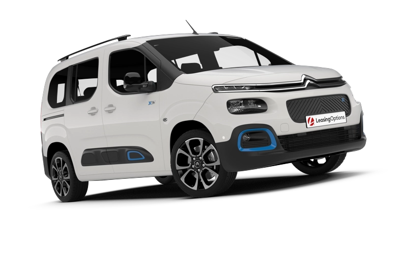 download Citroen Berlingo able workshop manual