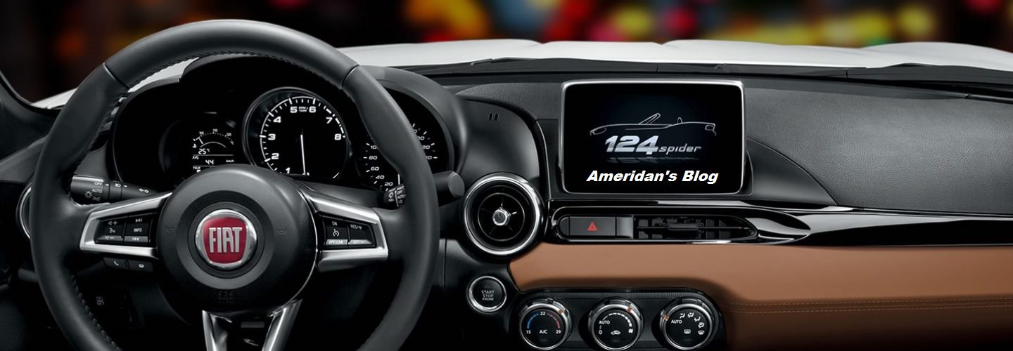 download Fiat 124 Spider able workshop manual