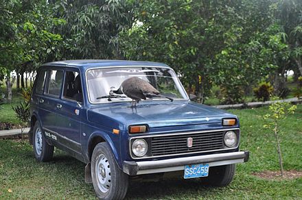 download Lada Niva OLD VAZ 2121 OFFICIAL workshop manual