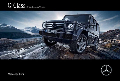 download MERCEDES BENZ G WAGEN 463 able workshop manual