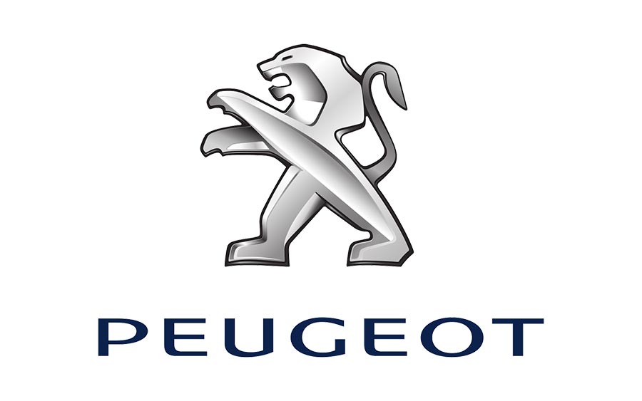 download PEUGEOT 308CC able workshop manual