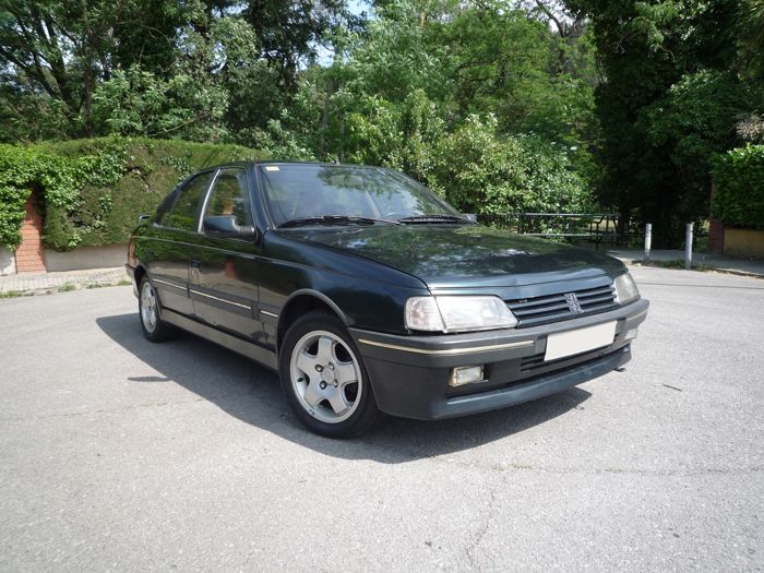 download PEUGEOT 405 able workshop manual