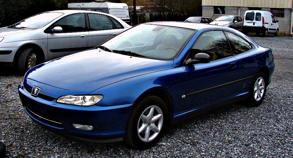 download PEUGEOT 406 able workshop manual