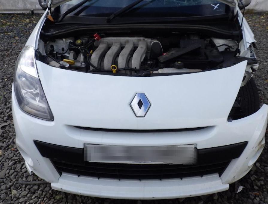 download Renault Clio II able workshop manual