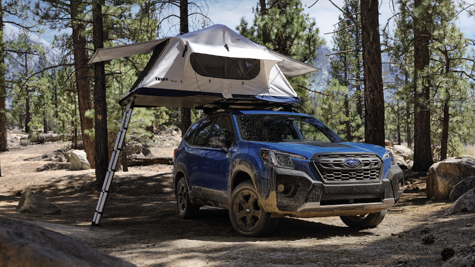 download Subaru Forester able workshop manual